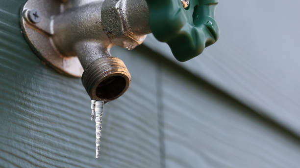 Best Local Plumber Services  in Raymond, MS